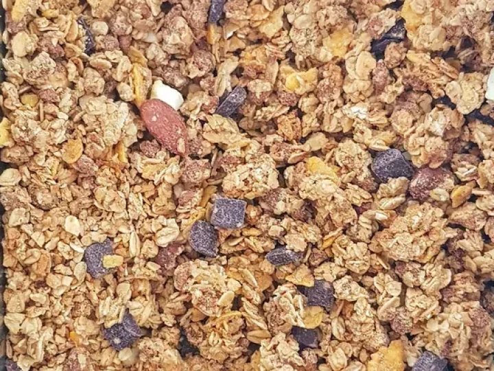 KROUNCHY FRUITS RAISINS DATTES POMMES CANNEBERGE GRILLON D'OR