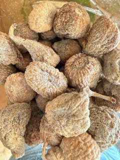 FIGUETTE ESPAGNE