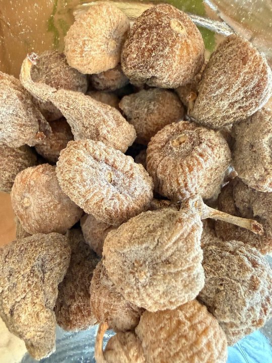 FIGUETTE ESPAGNE