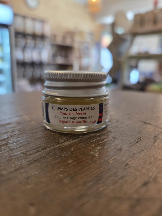 BAUME "POUR LES LEVRES" LE TPS DES PLANTES