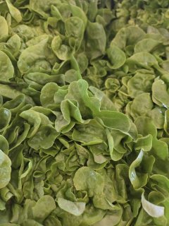 SALADES