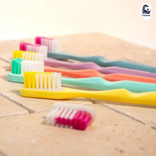 MANCHE DE BROSSE A DENTS LAMAZUNA MULTICOULEUR