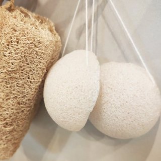 EPONGE KONJAC 