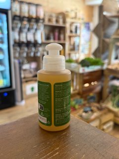 SAVON DETACHANT AU FIEL LIQUIDE SONETT 120ML