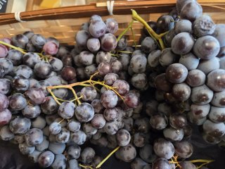 RAISIN NOIR MUSCAT FRANCE