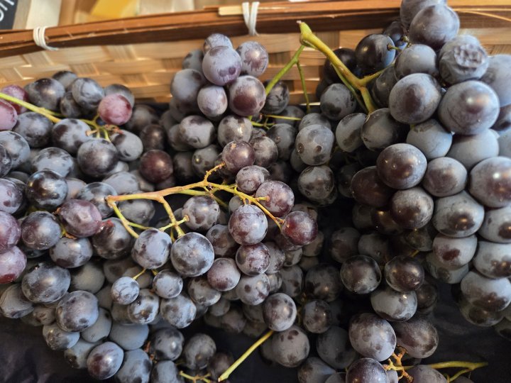 RAISIN NOIR MUSCAT FRANCE