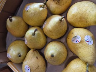 POIRE GUYOT