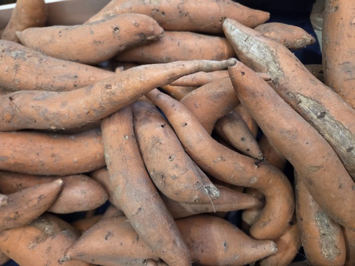 PATATE DOUCE ORANGE LANGEVINE