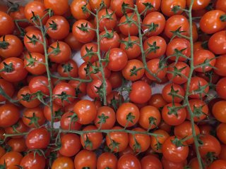 TOMATES CERISES GRAPPE FRANCE 