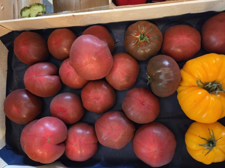 TOMATES TOUTES VARIETE HUITRIC GUERANDE (44)