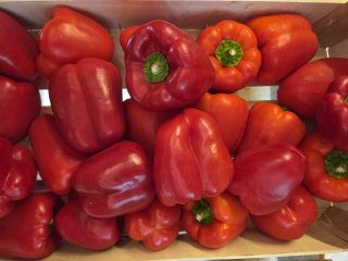 POIVRONS ROUGES FRANCE