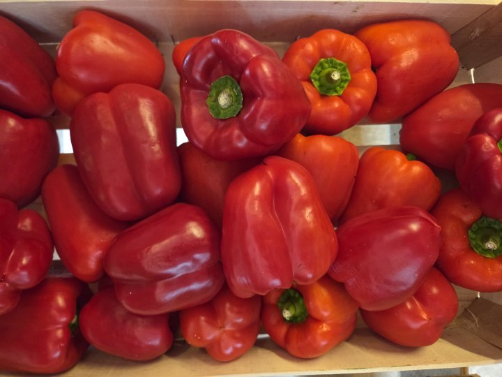 POIVRONS ROUGES FRANCE