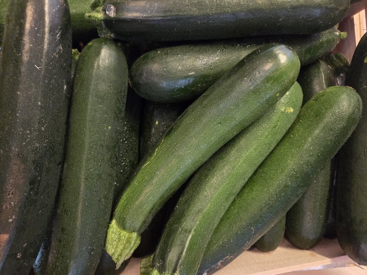 COURGETTES LANGEVINE (49)