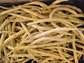 HARICOTS BEURRE LANGEVINE