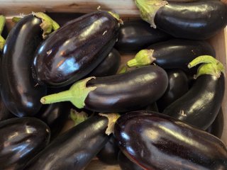 AUBERGINES NOIRES LA PLAINE