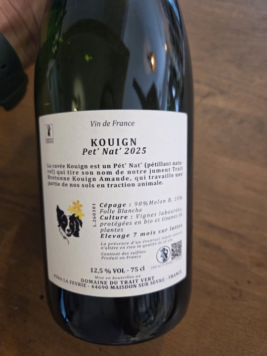 KOUIGN PET NAT DOMAINE DU TRAIT VERT