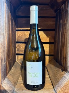 SAUVIGNON BLANC DAISY 2024 ARMAND DAVID VDF