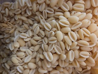 GNOCCHETTI COQUILLAGE PATES IRIS VRAC