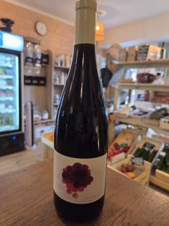 LE PARADIS SAUMUR ROUGE REGNIER DAVID