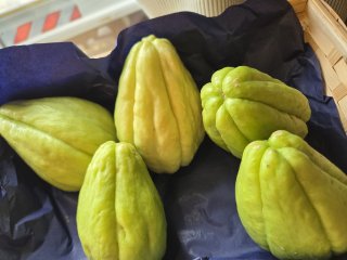 CHAYOTE LANGEVINE