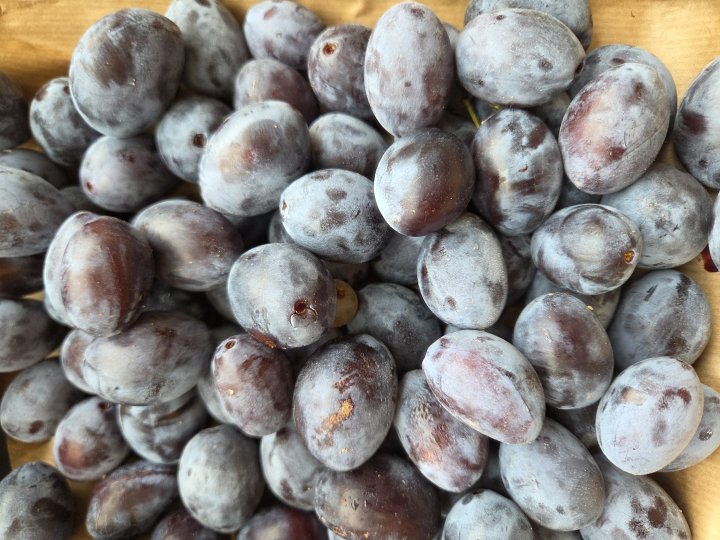 PRUNE QUETSCHE