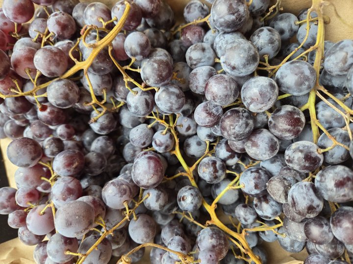 RAISIN NOIR MUSCAT FRANCE