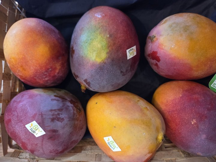 MANGUE SENSATION ESPAGNE KILO