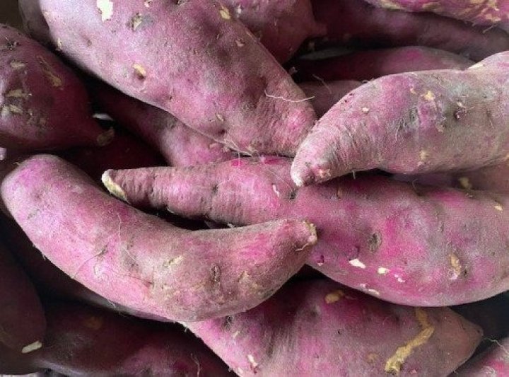 PATATE DOUCE MURASAKI LANGEVINE