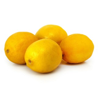 CITRON JAUNE PRIMOFIORI ESPAGNE