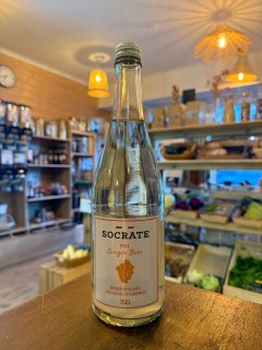 GINGER BEER SOCRATE 75CL 
