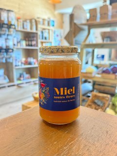 MIEL TOUTES FLEURS DENIS ESLAN 500GR