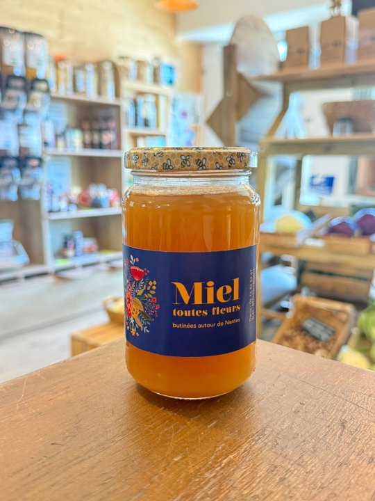MIEL TOUTES FLEURS DENIS ESLAN 500GR