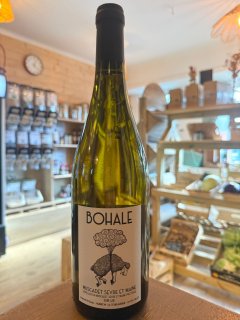 BOHALE BLANC 2023 LA TOURLAUDIERE MUSCADET 