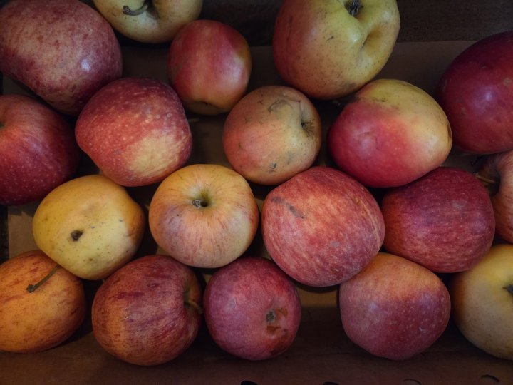 POMMES