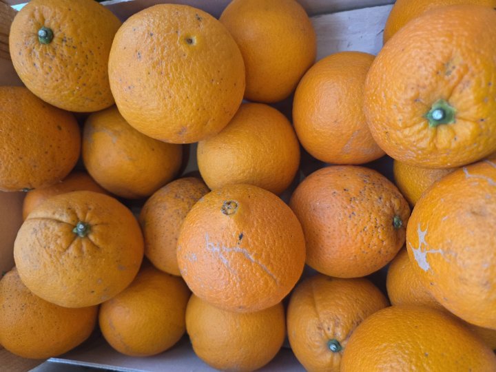 ORANGES ITALIE/ESPAGNE
