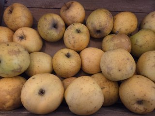 POMMES