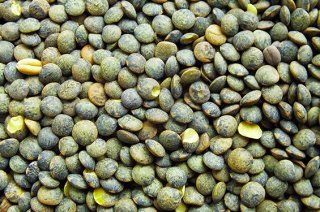 LENTILLES VERTES VIVIEN D'ANJOU VRAC