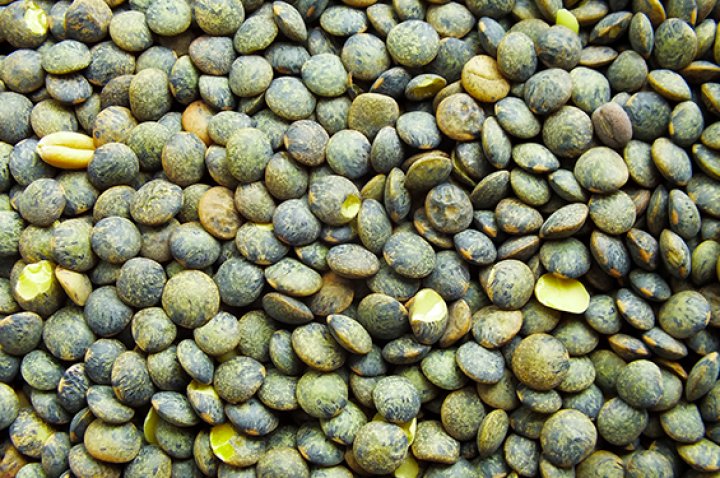 LENTILLES VERTES VIVIEN D'ANJOU VRAC