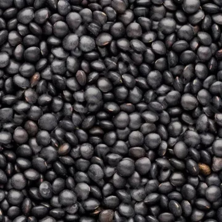 LENTILLES BELUGA VIVIEN D'ANJOU VRAC