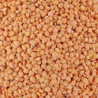 LENTILLES CORAIL ENTIERES VIVIEN D'ANJOU VRAC