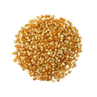 MAIS POP CORN VIVIEN D'ANJOU VRAC